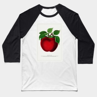 McIntosh Red Apple Lithograph (1900) Baseball T-Shirt